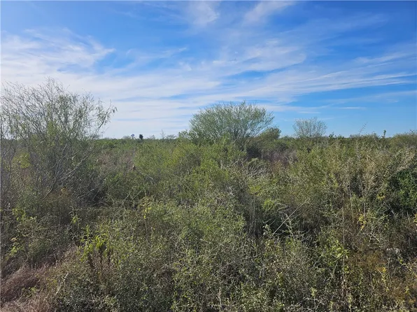 11 County Road 1431, San Diego, TX 78384