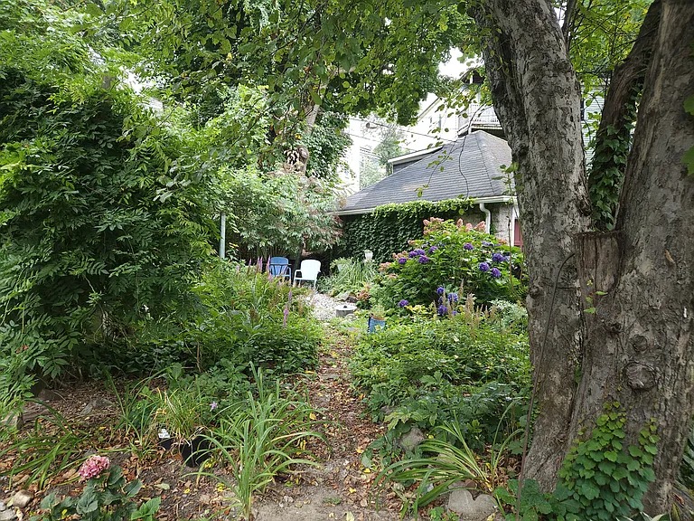 Backyard in spring view from back deck