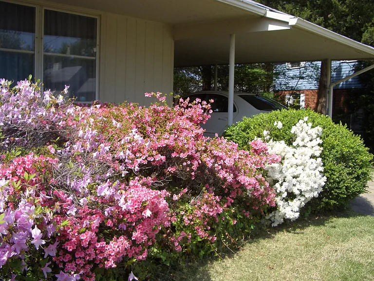 3200 Galway Pl — Photo 3