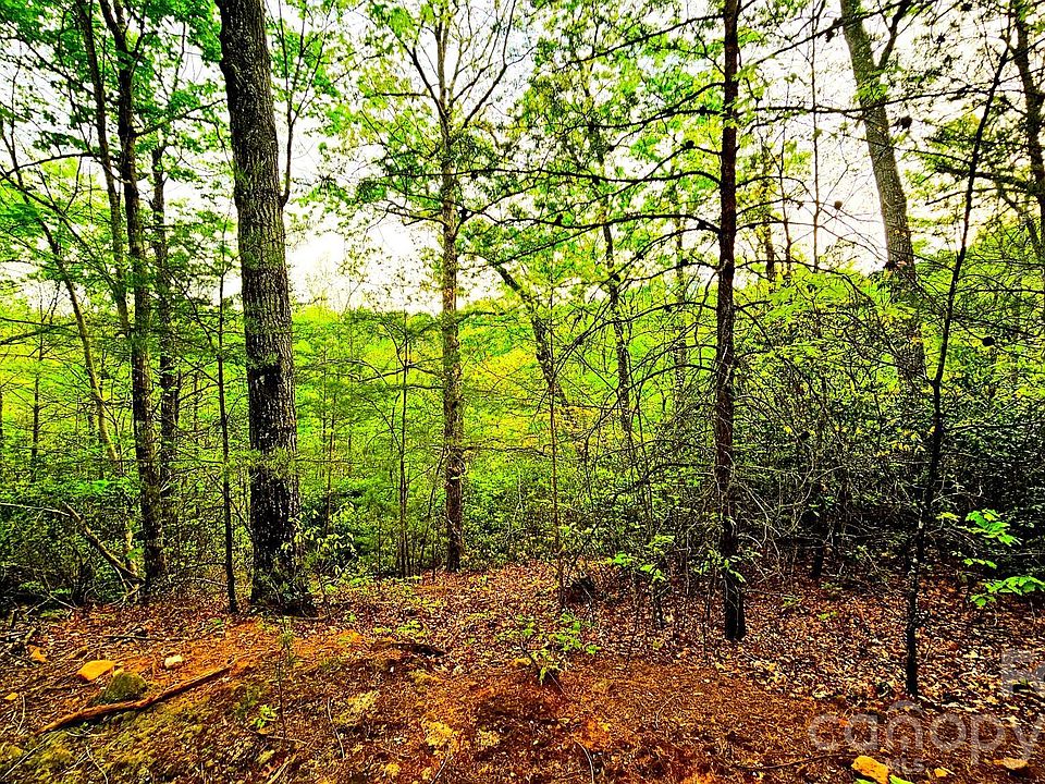 1st image of LOT 59 Bear Cliff Way #59-LL