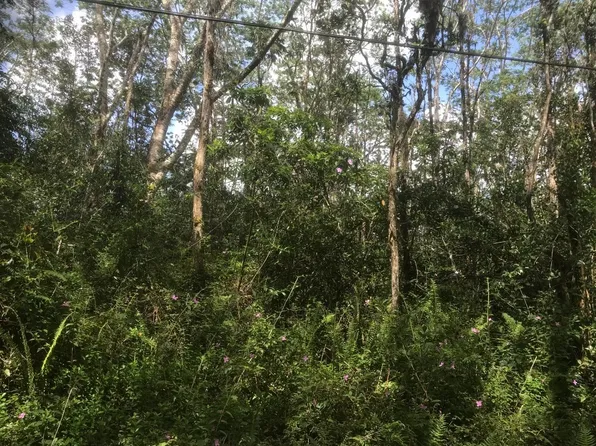 Paradise Cir, Pahoa, HI 96778