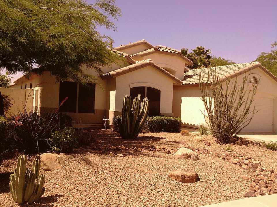 Low Maintainance yard