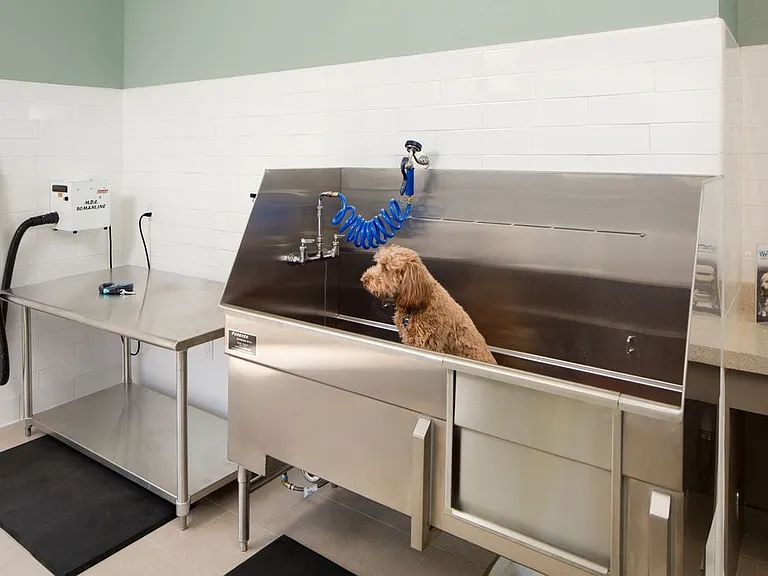 WAG pet spa