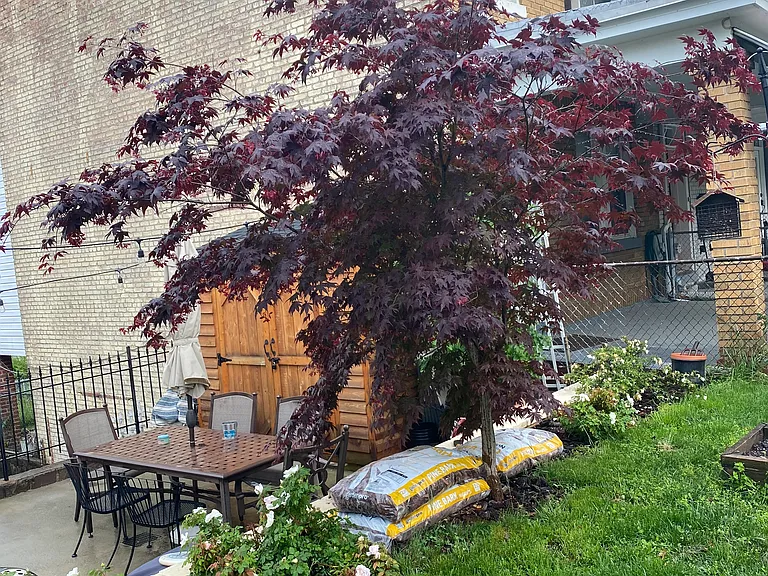 Side yard overlooking patio