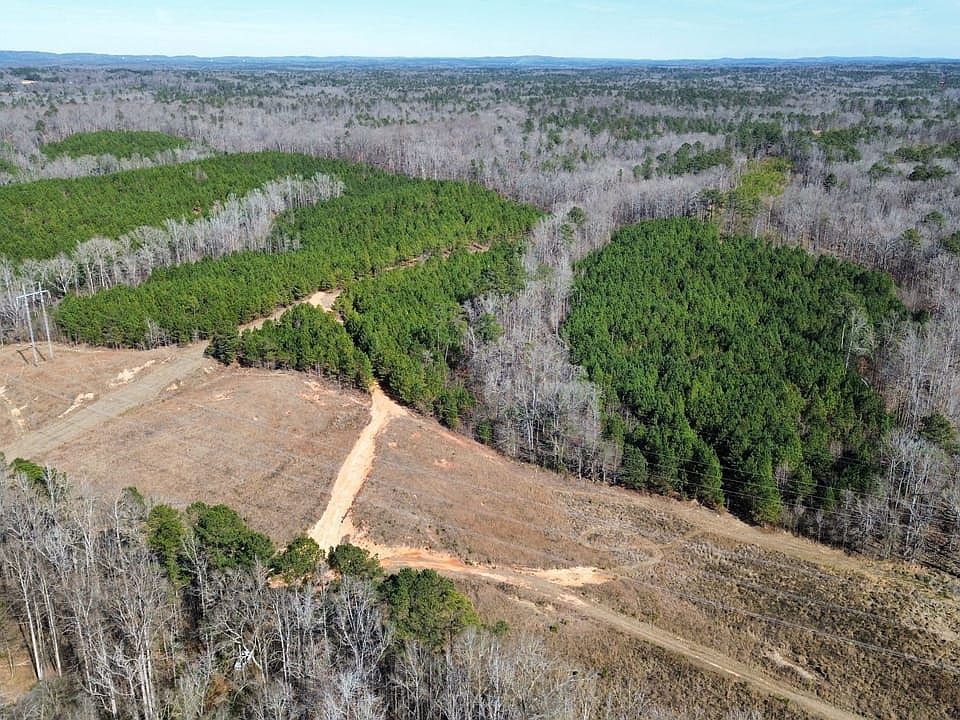 Dji Fly 20260120 130718 268 1768933344540 Photo Optimized