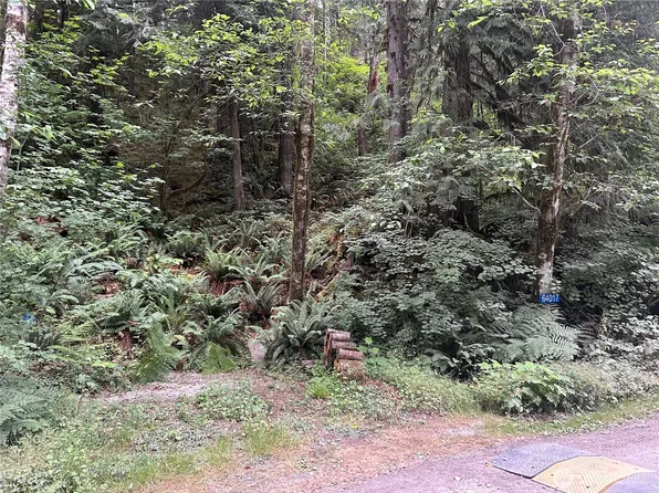 64017 E Cascade Drive, Marblemount, WA 98267