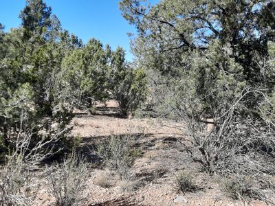 LOT 3408 W Dulce Ln, Seligman, AZ, 86337