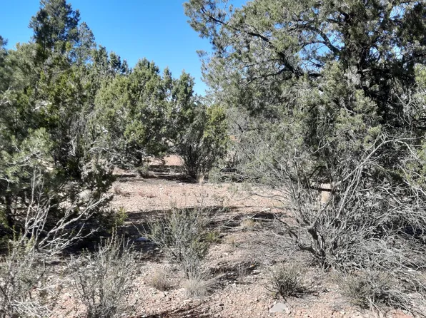 LOT 3408 W Dulce Ln, Seligman, AZ 86337