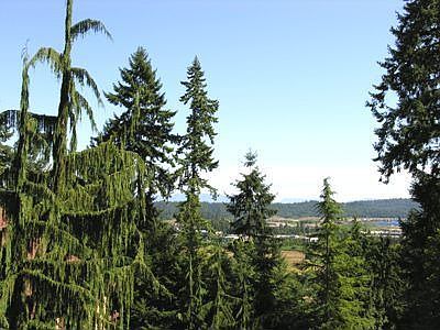 View of Cascades & Foothills