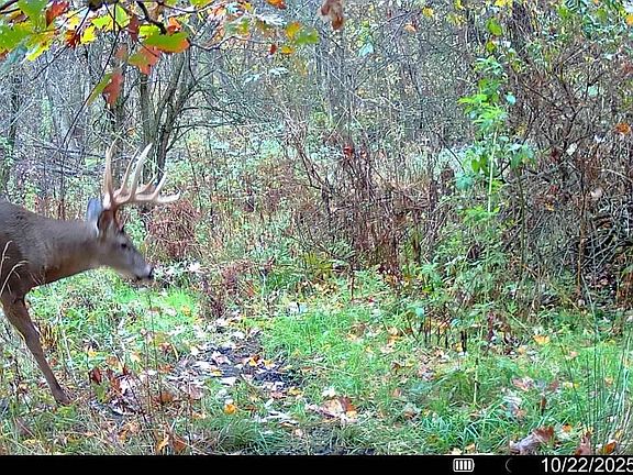 3rd image of 3607 E Hansen Rd