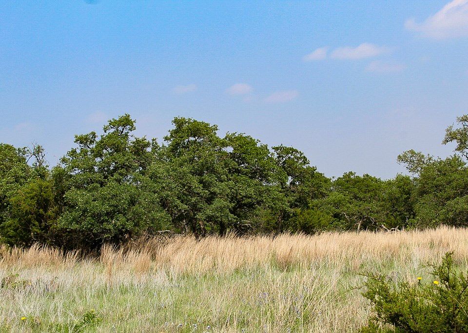 2nd image of 267 Lipan Loop