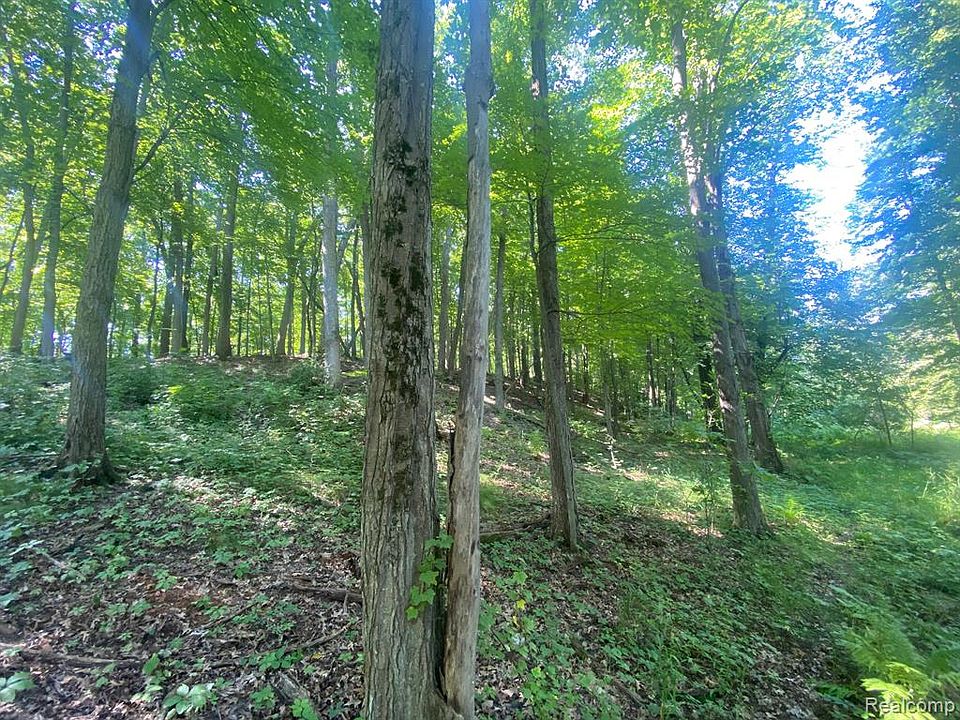 0 W Coon Lake Rd, Howell, MI 48843 MLS 20221041575 Zillow