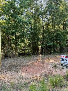 0 County Road 2201, Goshen, AL, 36035