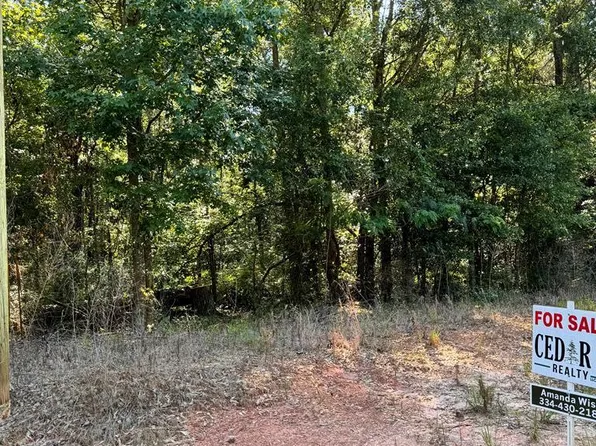 0 County Road 2201, Goshen, AL 36035