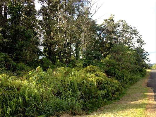 1st image of Hapuu Dr Lot 35