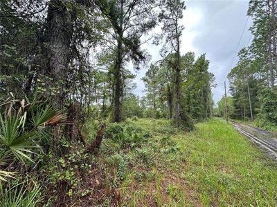 NE 155th St #7, Fort Mc Coy, FL, 32134