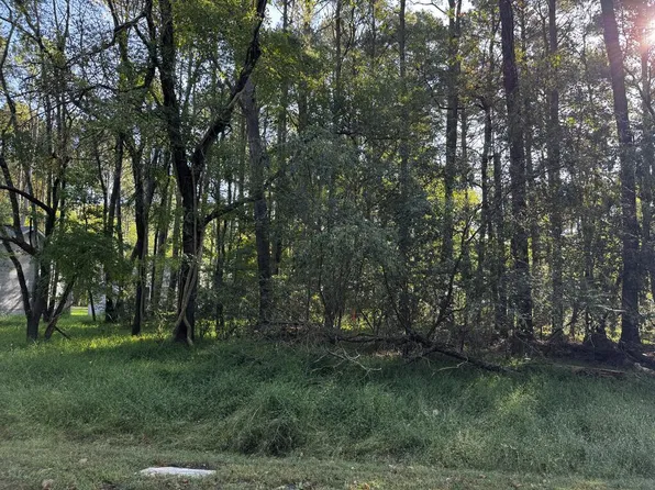 LOT 232 Smugglers Way, Greenbackville, VA 23356
