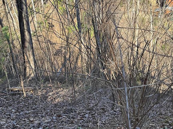 2nd image of LOT 506 Crooked Ridge Rd