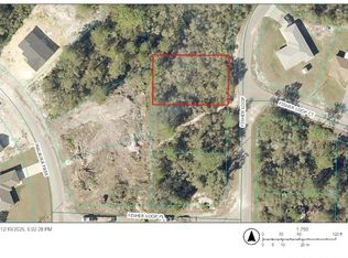 Fisher Loop LOT 74, Ocklawaha, FL 32179
