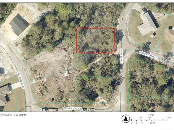 Fisher Loop Lot 74, Ocklawaha, FL 32179
