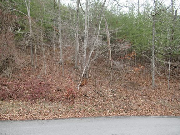 4th image of 156 Bear Valley Rd