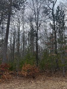 N Saint Helen Rd, Roscommon, MI, 48653