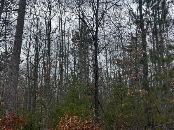 N Saint Helen Rd, Roscommon, MI 48653