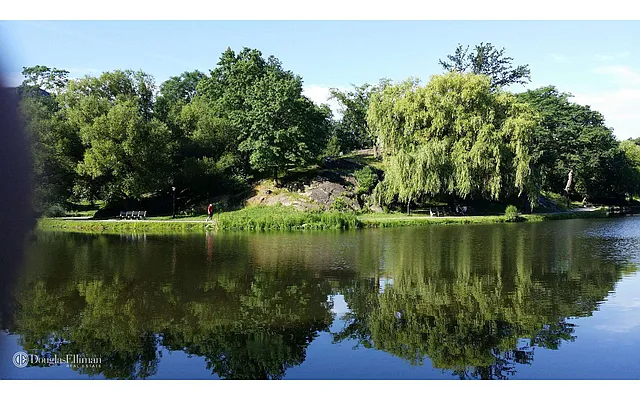 Sold by Douglas Elliman | media 7