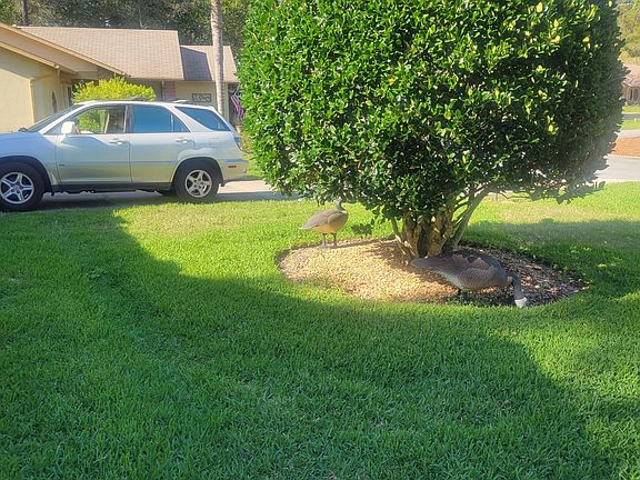 3rd image of 2389 Imperial Pine Dr