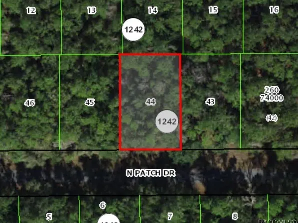 9243 N Patch Dr, Citrus Springs, FL 34434