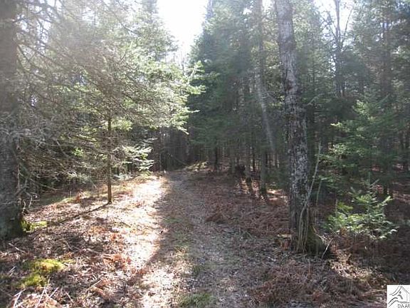 4th image of 5800 Lonely Pine Dr