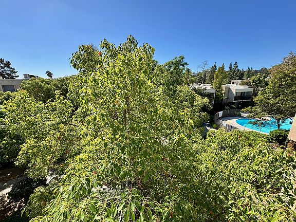 View from Master Bedroom Window