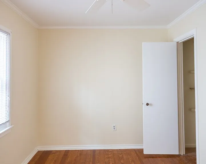 47 Laurens Street — Photo 14
