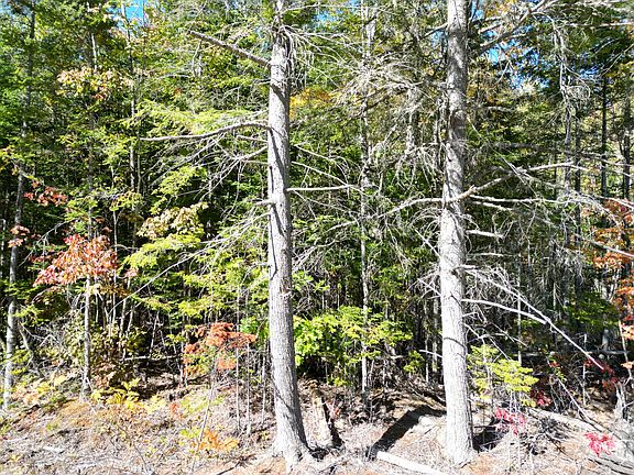 5th image of Lot 14 Whitetail Way