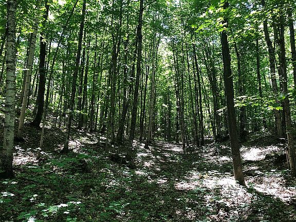 2nd image of 1420 County Road 492