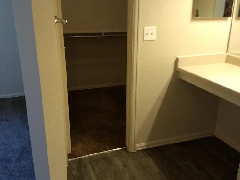 Ensuite and walk in closet