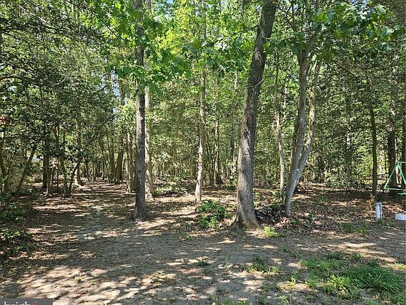2nd image of 38 Deerwood Dr