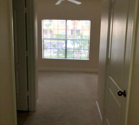 2nd image of 6450 Borasco Dr APT 1706