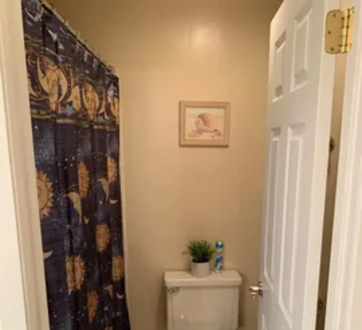 2 bed, 980 sqft, $1,800 — Photo 4