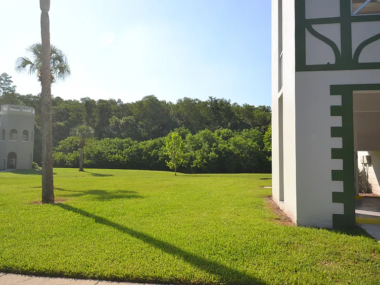 2471 Sumatran Way #25 — Photo 39