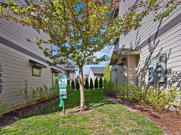 Mist Wood Apartments — Photo 20