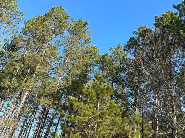 Spring Creek Dr #4080-6, Tomahawk, WI 54487