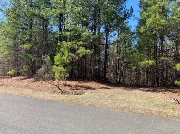 685 Old Chestnut Xing #31, Moncure, NC 27559