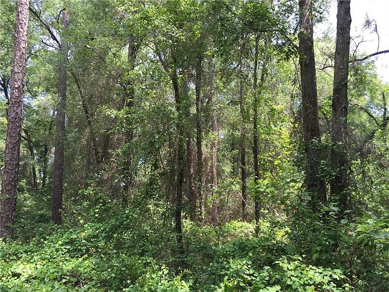 2nd image of 1765 Hidden Woods Way