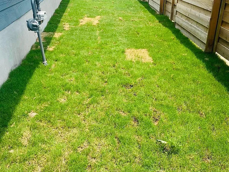 1405 Marley — Photo 30
