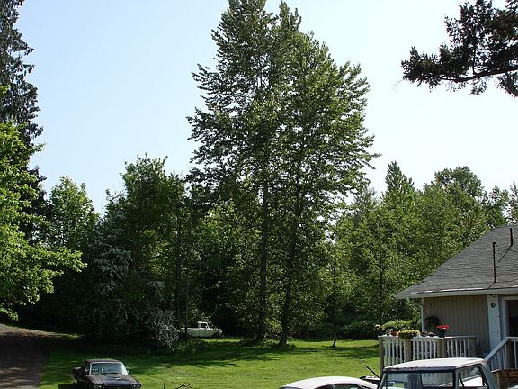 Large Lot