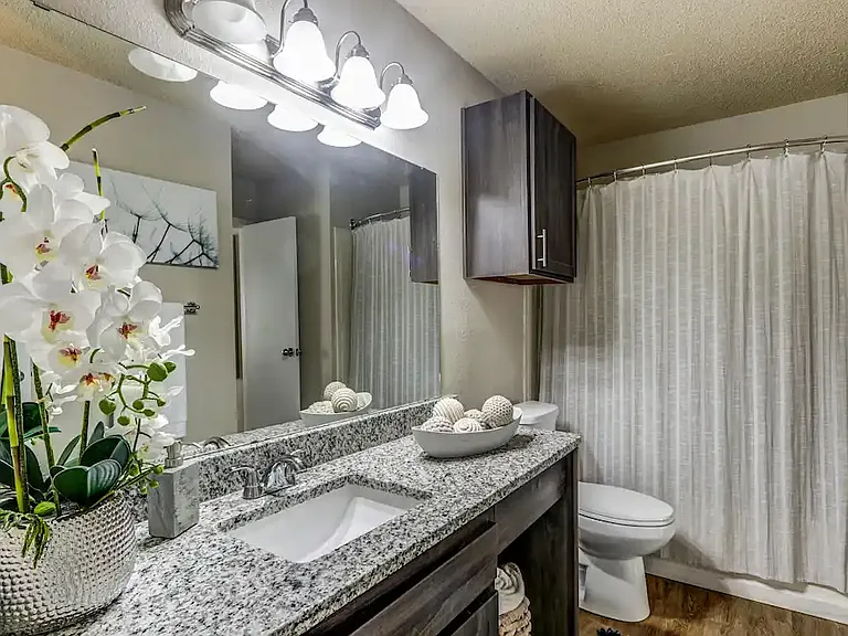 Chappell Hill Apartments — Photo 78