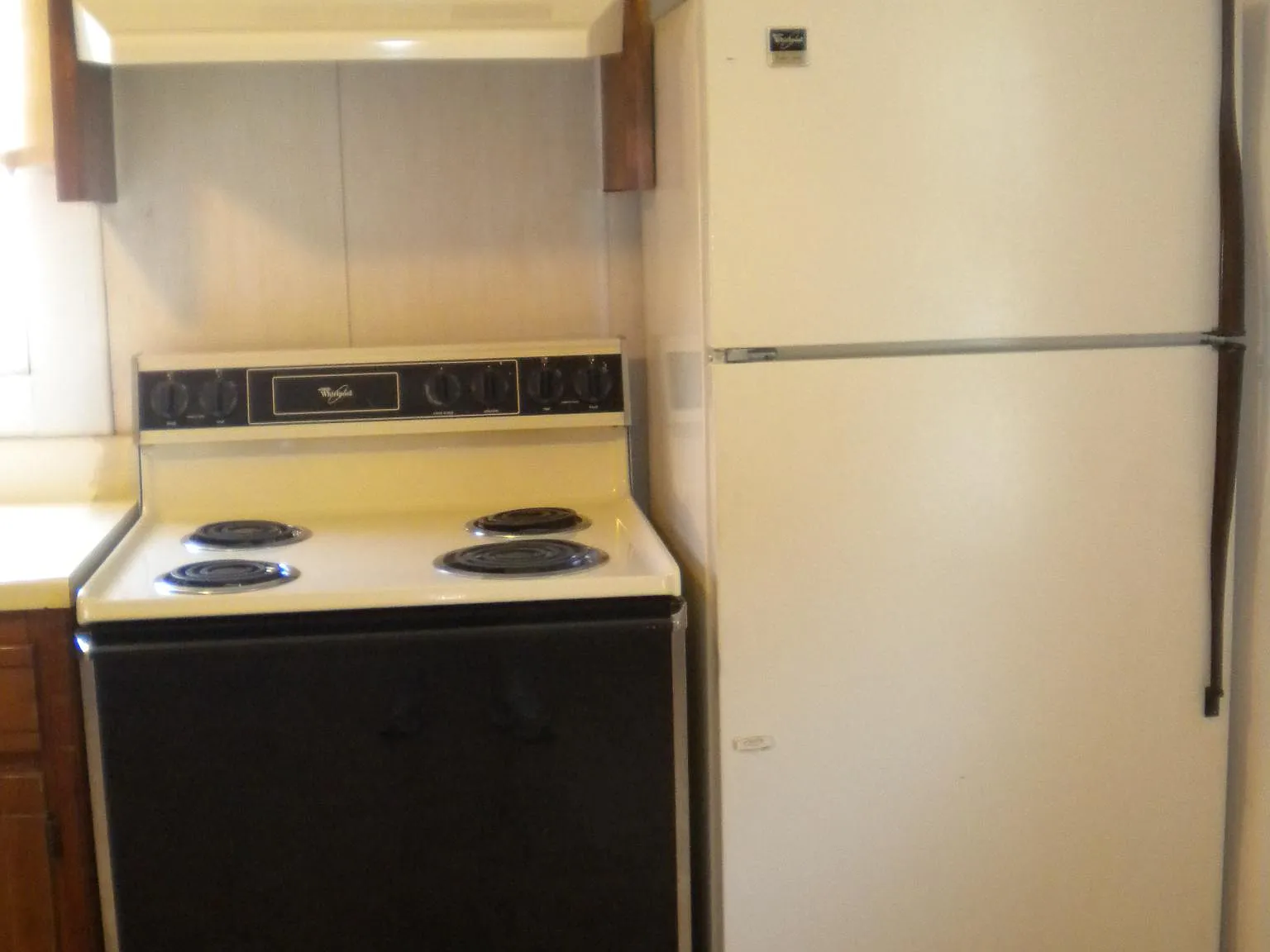 1 bed, $950 — Photo 3
