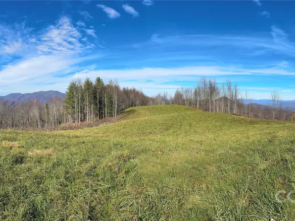 1201 & 1540 Baker Branch Ln, Marshall, NC 28753