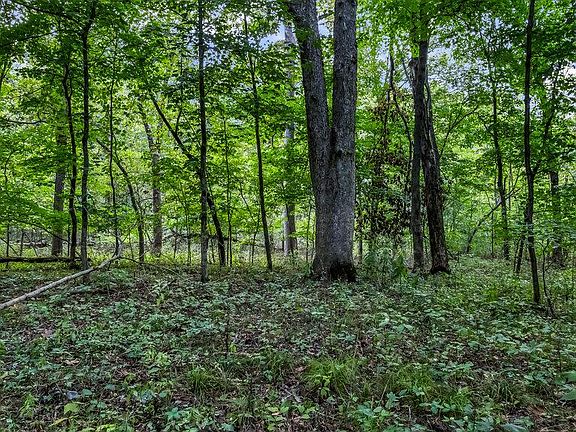 2nd image of 20661 Johnson Hollow Rd
